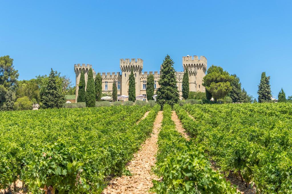 Hostellerie Du Chateau Des Fines Roches Châteauneuf-du-Pape Zewnętrze zdjęcie