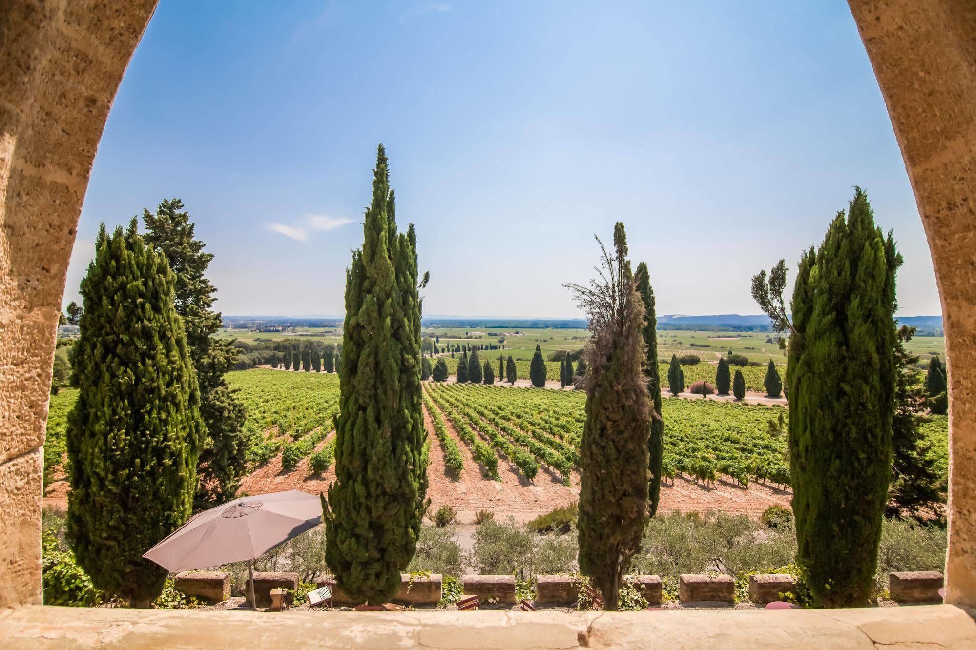 Hostellerie Du Chateau Des Fines Roches Châteauneuf-du-Pape Zewnętrze zdjęcie